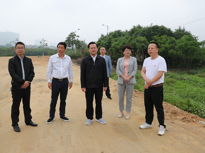 县委书记曾永祥率队到汤南镇新楼村调研.jpg