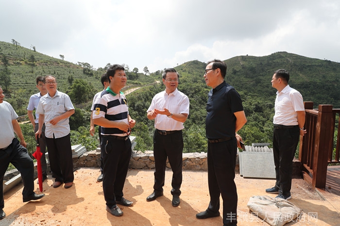 丰顺县人民政府门户网站