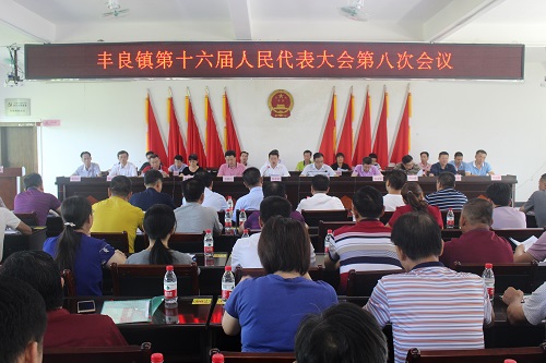 丰良镇第十六届人民代表大会第八次会议胜利召开