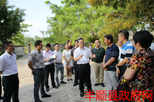 (县委书记曾永祥率队到留隍镇葛布村调研五村连片十村联动新农村工作