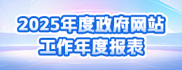 2025年度政府网站工作年度报表