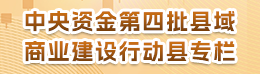 中央资金第四批县域商业建设行动县专栏