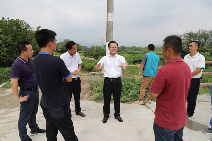 县委书记曾永祥率队到汤西镇新岭村调研督导美丽乡村建设（胡金辉摄）.JPG