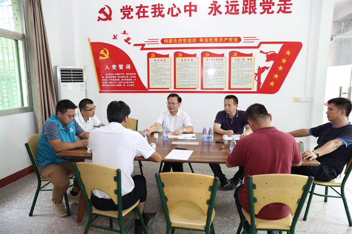 县委书记曾永祥在新岭村与大家一起研究部署美丽乡村推进工作（胡金辉摄）.JPG
