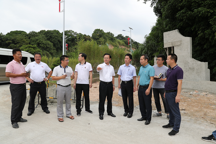 县委书记曾永祥率队调研督导“两区三村”美丽乡村连线建设推进情况（胡金辉摄）.JPG