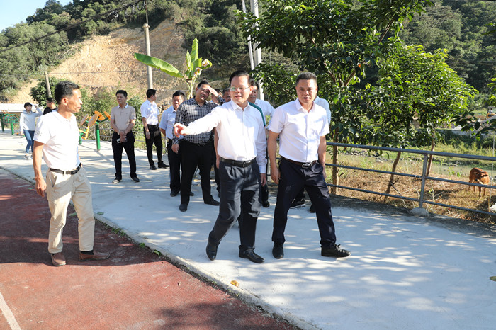 县委书记曾永祥率队到北斗镇督导巡视整改落实工作(胡金辉摄）_副本.jpg