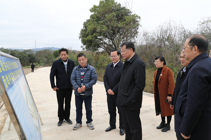 林雄一行到汤西镇新寨自然村调研高效生态现代化肉鸡养殖基地项目建设情况。.JPG