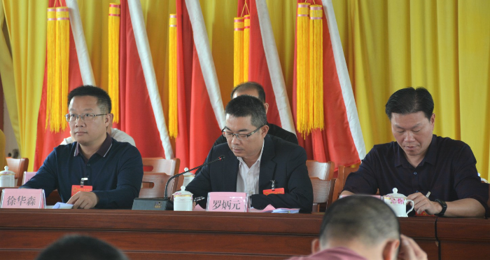 汤南镇党委书记罗炳元同志在会上发言