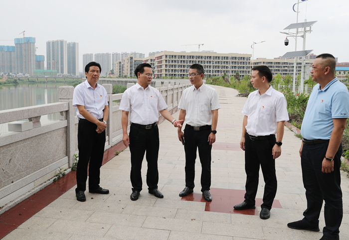 县委书记曾永祥率队到汤南镇新楼桥头督导检查安全生产工作.jpg