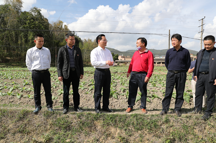 县委书记曾永祥率队到潘田镇填江村烤烟基地春耕备耕和新农村建设工作.jpg