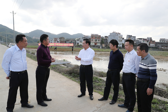 县委书记曾永祥率队到黄金镇光明村水稻基地春耕备耕现场检查春耕备耕和新农村建设工作.jpg