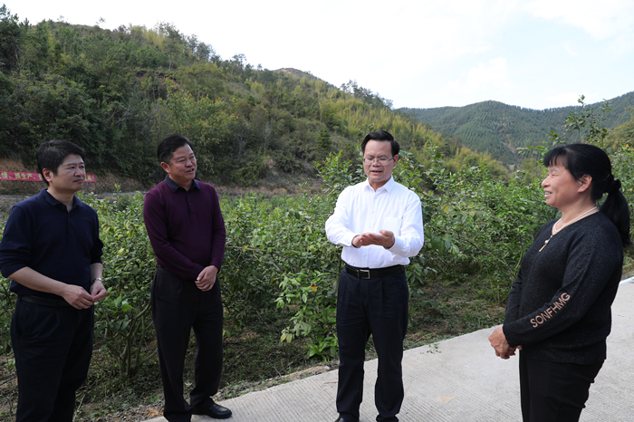 县委书记曾永祥率队到黄金镇遍沙村柠檬基地检查春耕备耕和新农村建设工作.jpg
