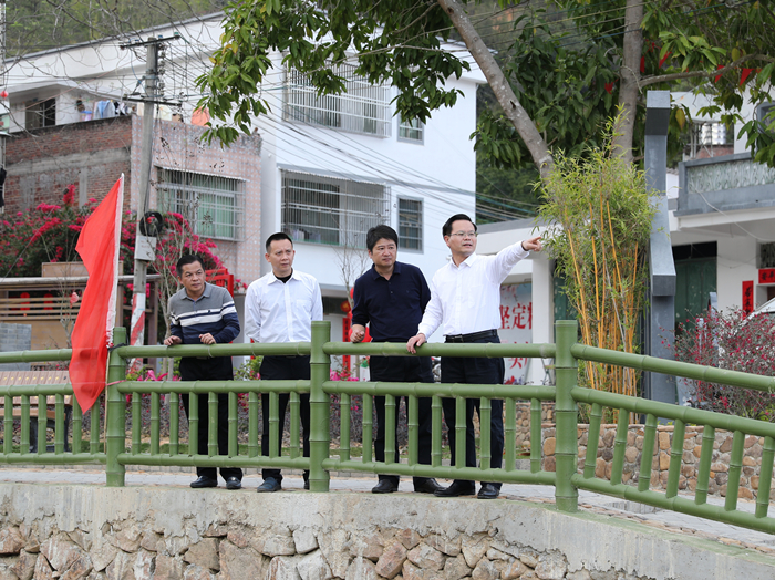 县委书记曾永祥率队到黄金镇双灵村调研.jpg