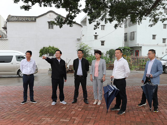 县委书记曾永祥率队到汤南镇新埔园村调研.JPG
