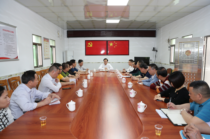 县委书记曾永祥率队到汤西镇石江村调研.JPG
