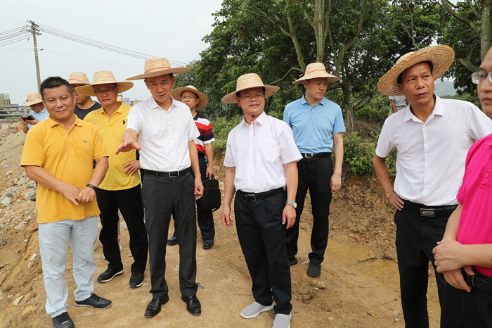 杨细平一行到汤西镇新岭村调研甲溪水中小河流治理项目（胡金辉摄）.JPG