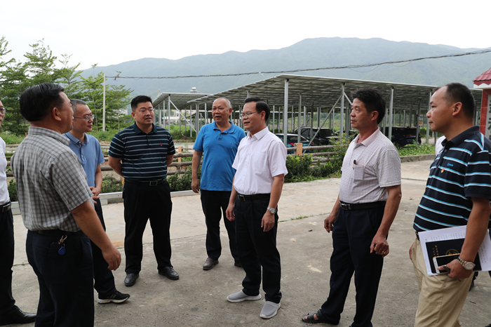 县委书记曾永祥率队到建桥镇新和村调研基层党建工作.JPG