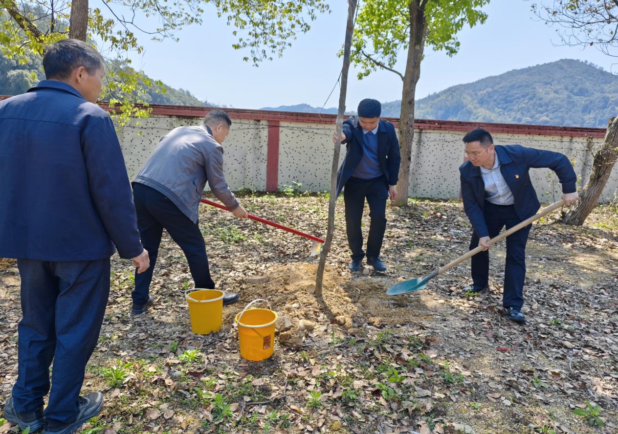 20250324图一.jpg