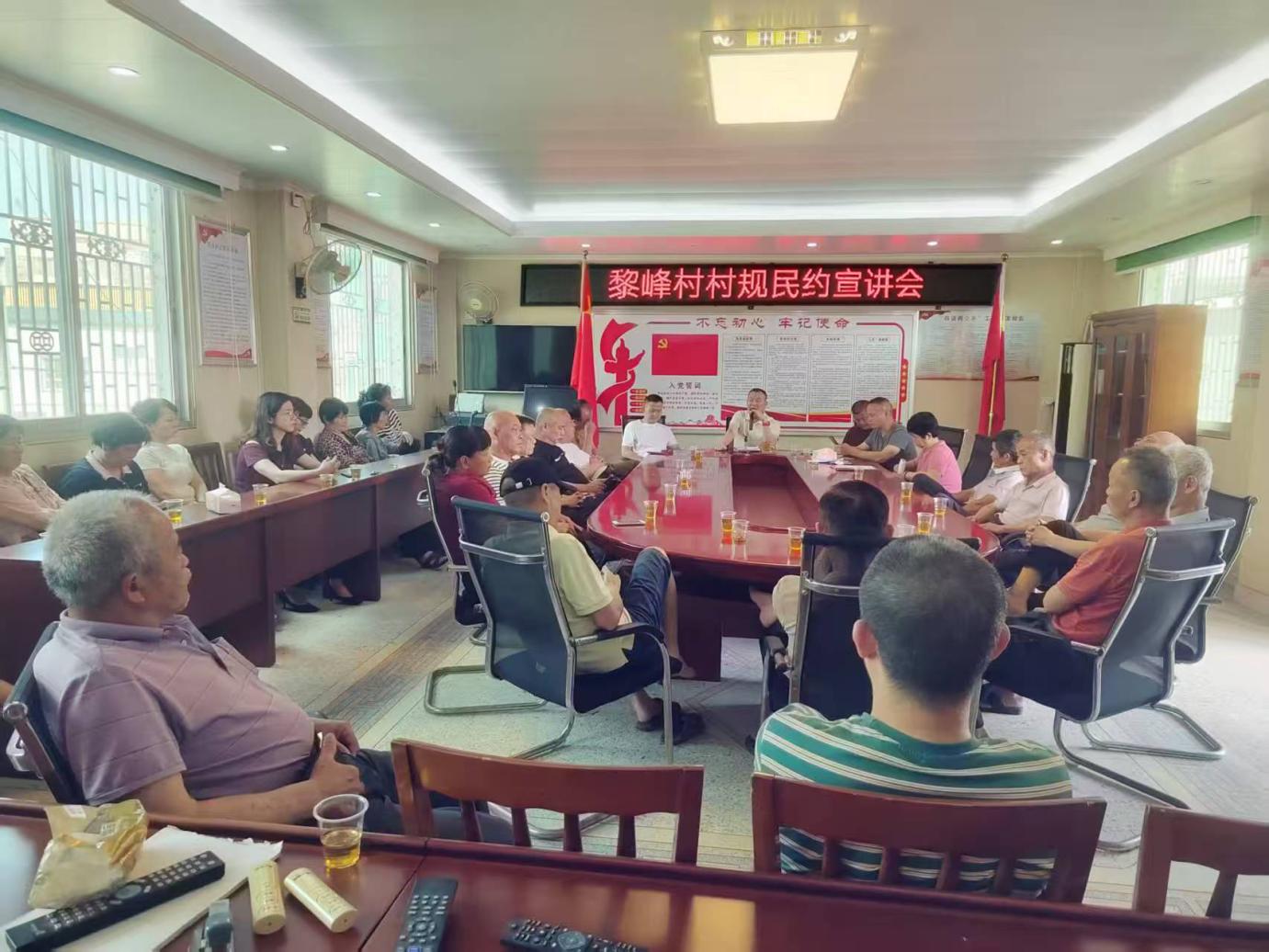汤坑镇人大代表宣讲团走进黎峰村移风易俗倡新风村规民约宣讲活动.docx_1