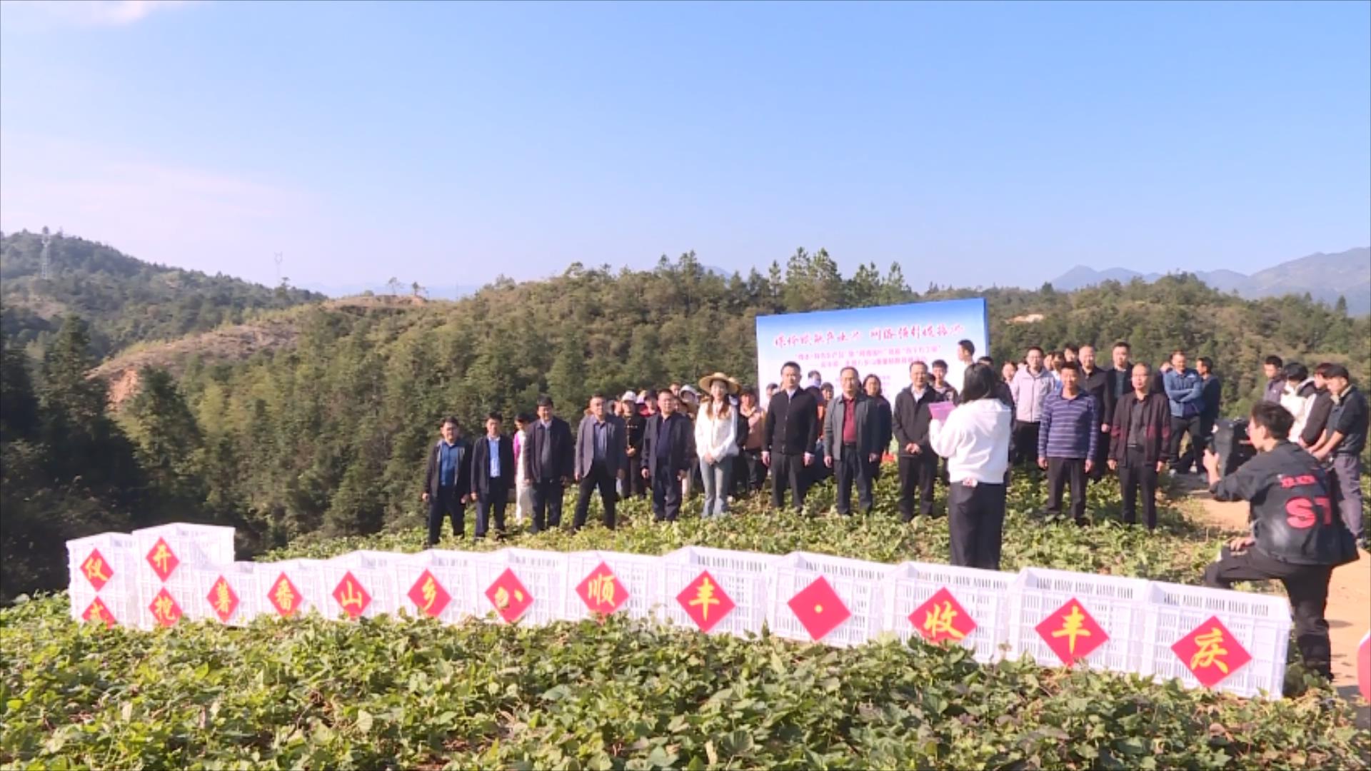 番薯直播.mp4_20251209_171850695.jpg