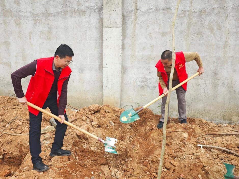 丰顺县教育局机关党支部开展绿美丰顺主题党日活动.docx_2