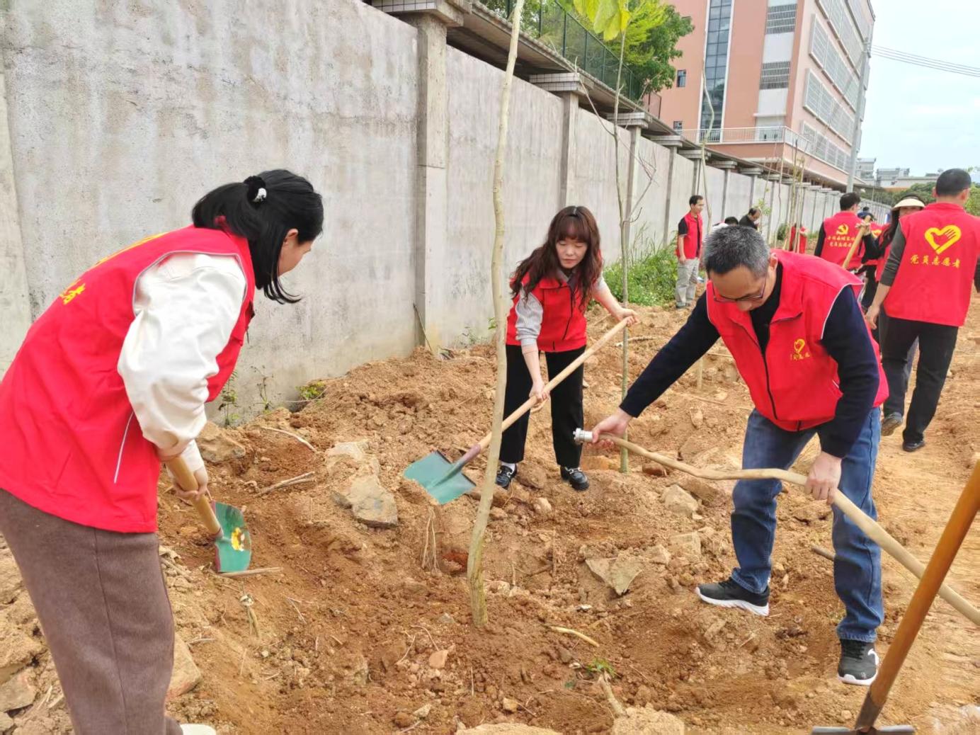 丰顺县教育局机关党支部开展绿美丰顺主题党日活动.docx_4