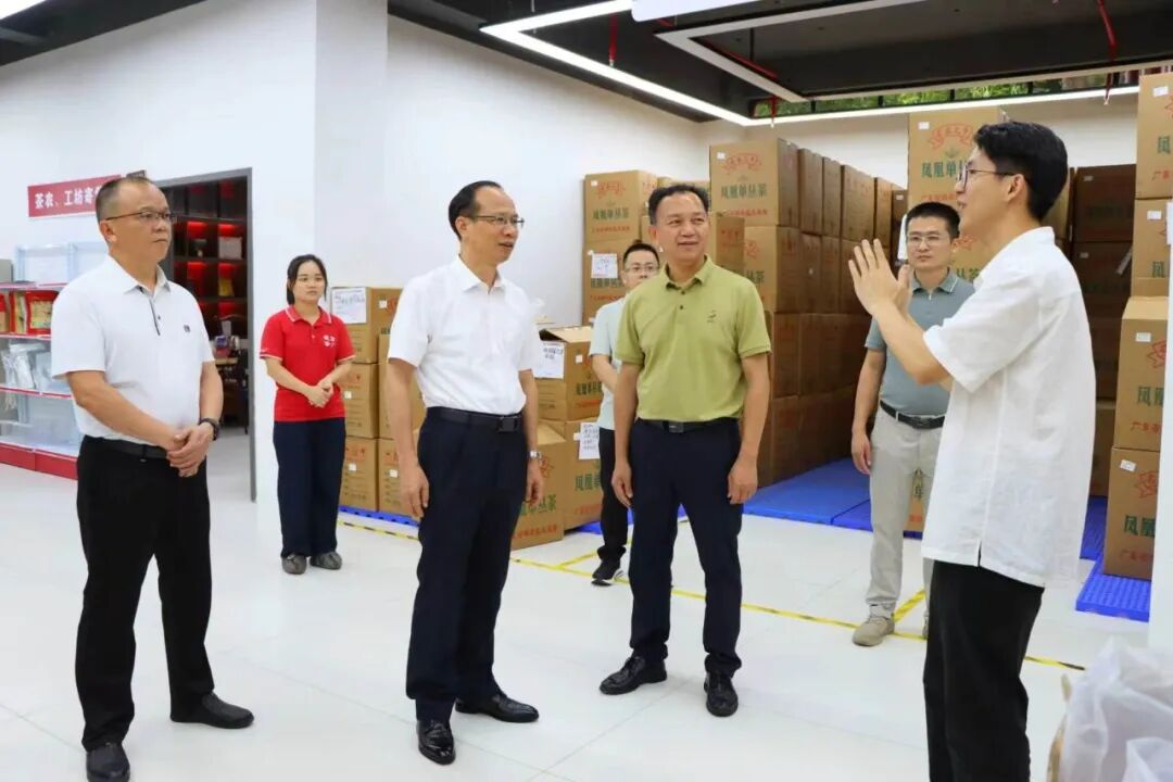 凌望远率队到潮州市潮安区考察学习茶叶产业发展：对标先进学经验 立足实际谋发展 全力推动丰顺茶产业提质增效