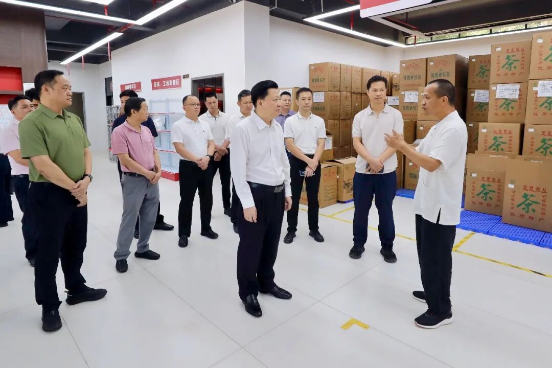 张志锋率队到潮州市潮安区学习考察茶产业发展  借鉴先进经验 深化产业合作 推动丰顺茶产业高质量发展