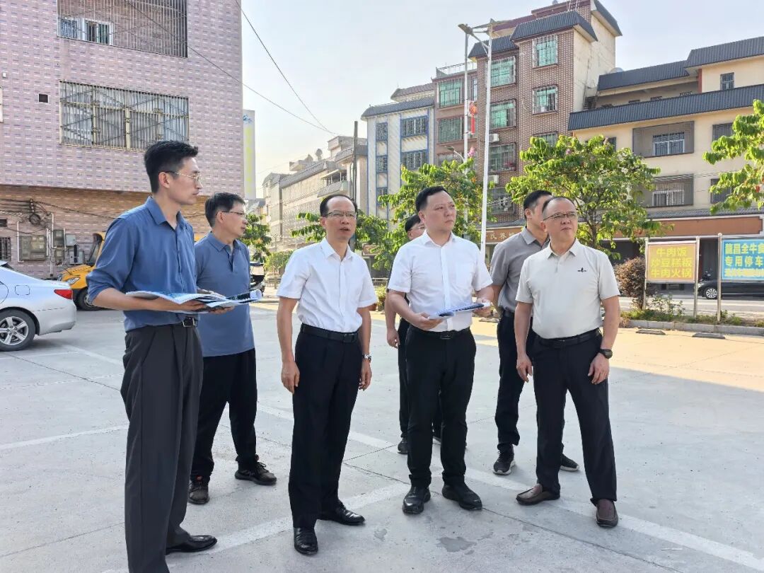 凌望远调研督导丰顺县埔寨（含埔寨农场）—汤南—汤坑镇村片区组团建设工作：串点连线成片 聚力打造“百千万工程”丰顺样板