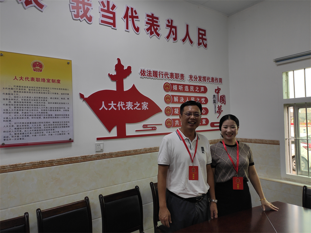 市人大代表到大龙华镇开展调研活动6.png
