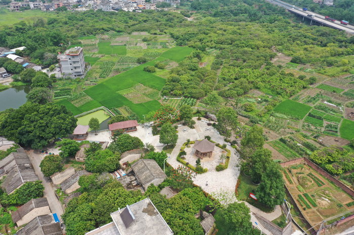 绿树成荫的汤西镇新岭村左岭文体公园 （胡金辉摄).jpg