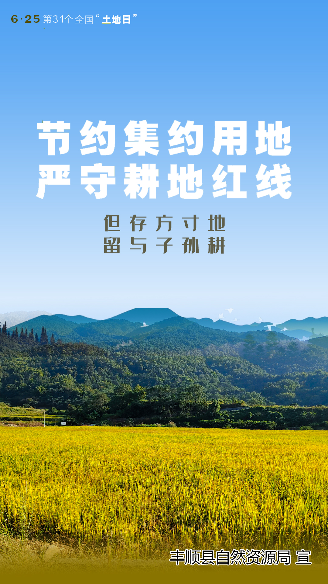 丰顺县自然资源局——第31个全国"土地日"宣传海报