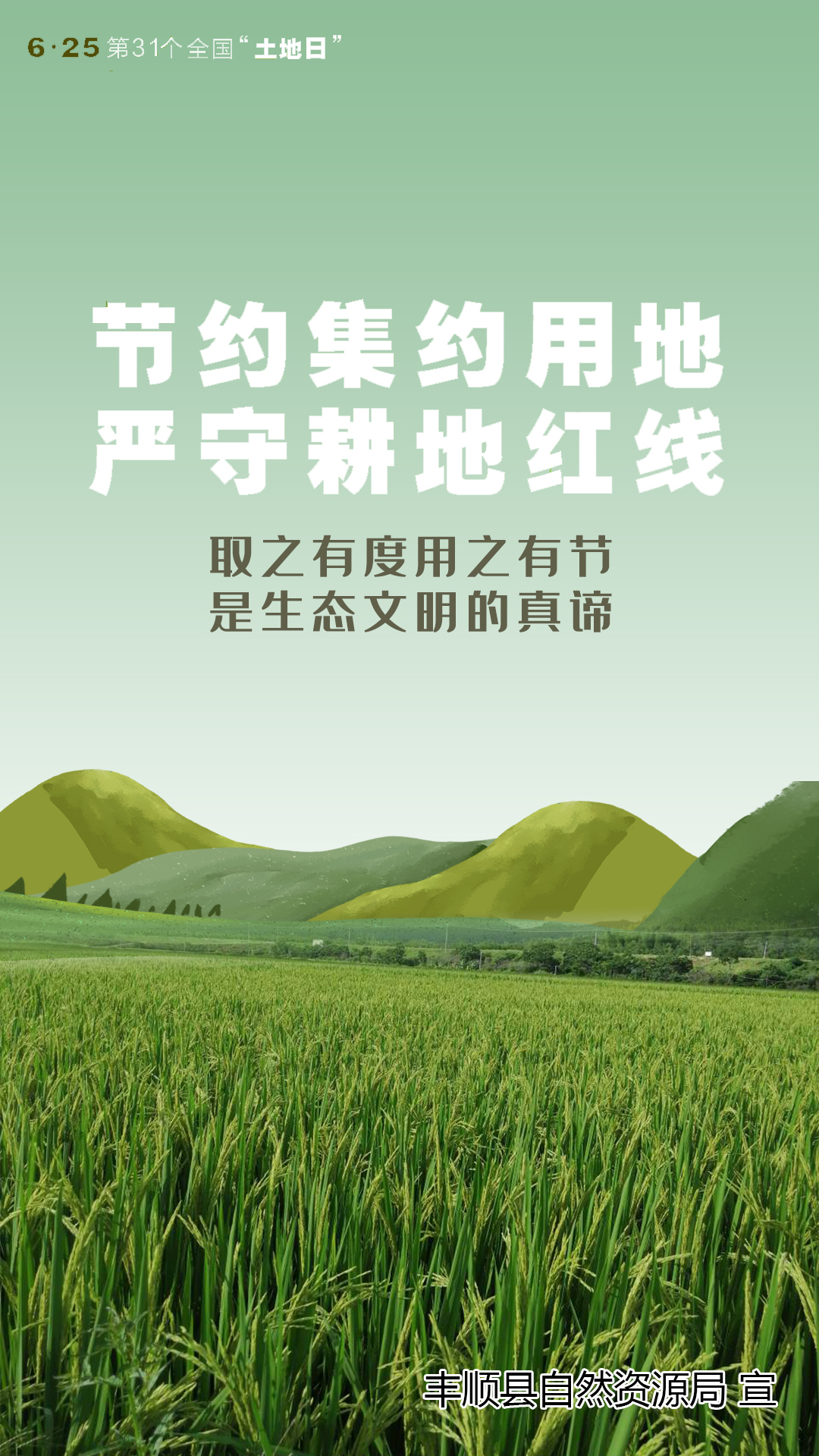 丰顺县自然资源局——第31个全国"土地日"宣传海报