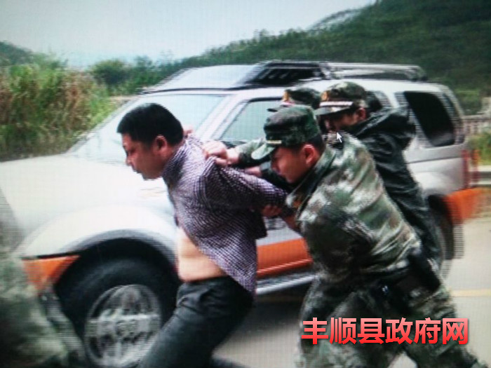 丰顺县有多少人口(2)