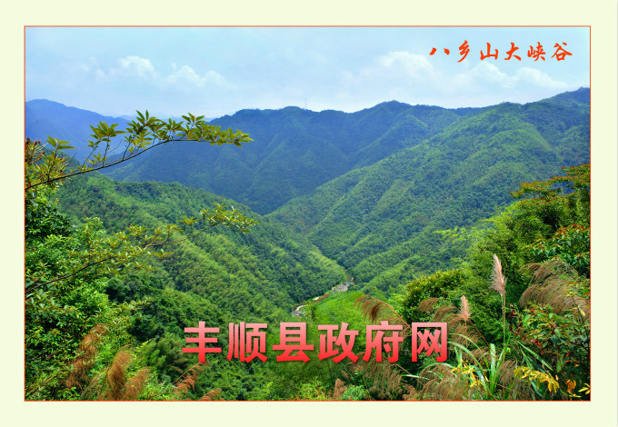 丰顺各镇人口_丰顺捆粄图片(2)